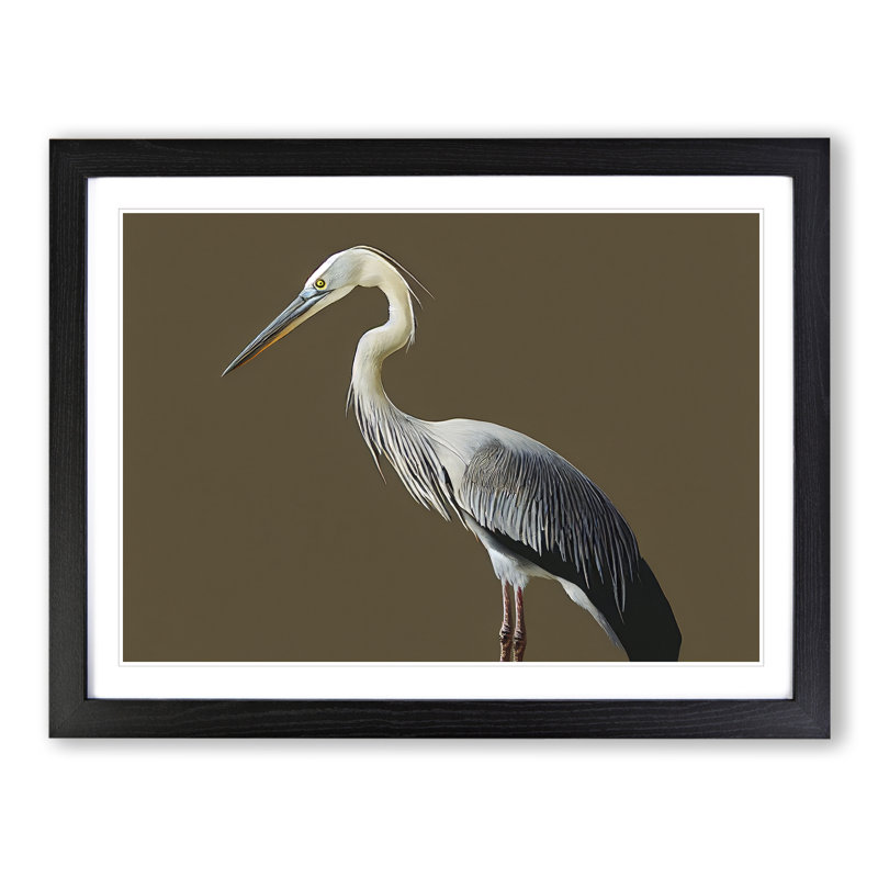 A Head Turning Heron Bird - Single Picture Frame Print, 25cm H x 34cm W x 2cm D, Black