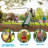 Climb & Slide Playset