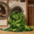 Washable Arugula Eruca sativa Vegetables Area Rug-1338551974