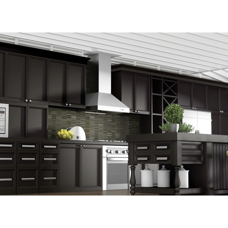 48" Professional 700 CFM Ducted Wall Mount Range Hood in Stainless Steel
