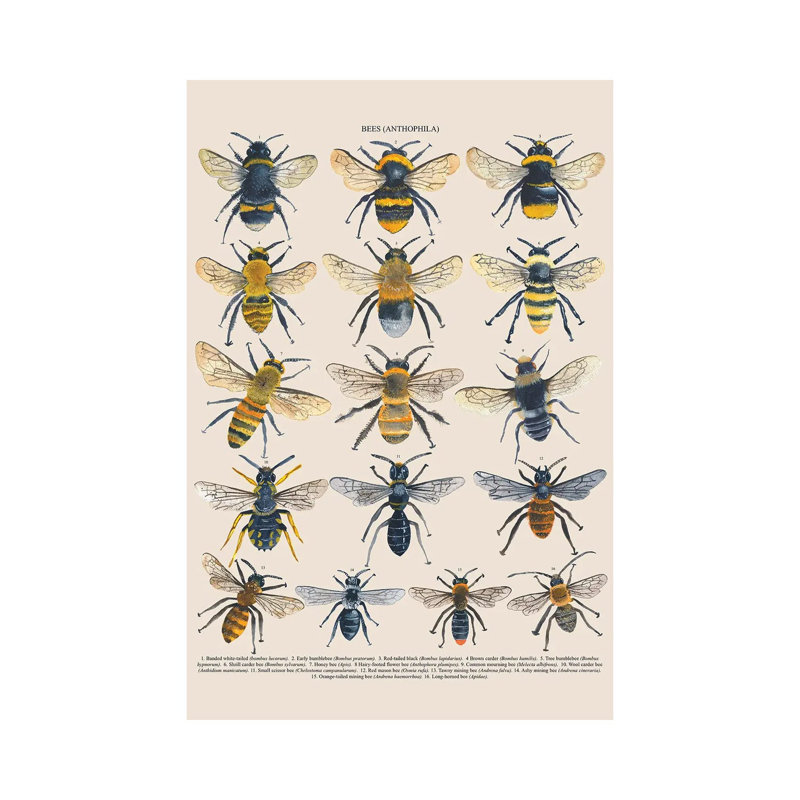 Bees by Michelle Campbell - Wrapped Canvas Print, 66.04 cm H x 45.72 cm W x 3.175 cm D