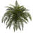 River Fern Artificial Plant