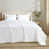 Blanc Aster est en rupture de stock