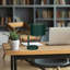 DelRe Arched Lamp