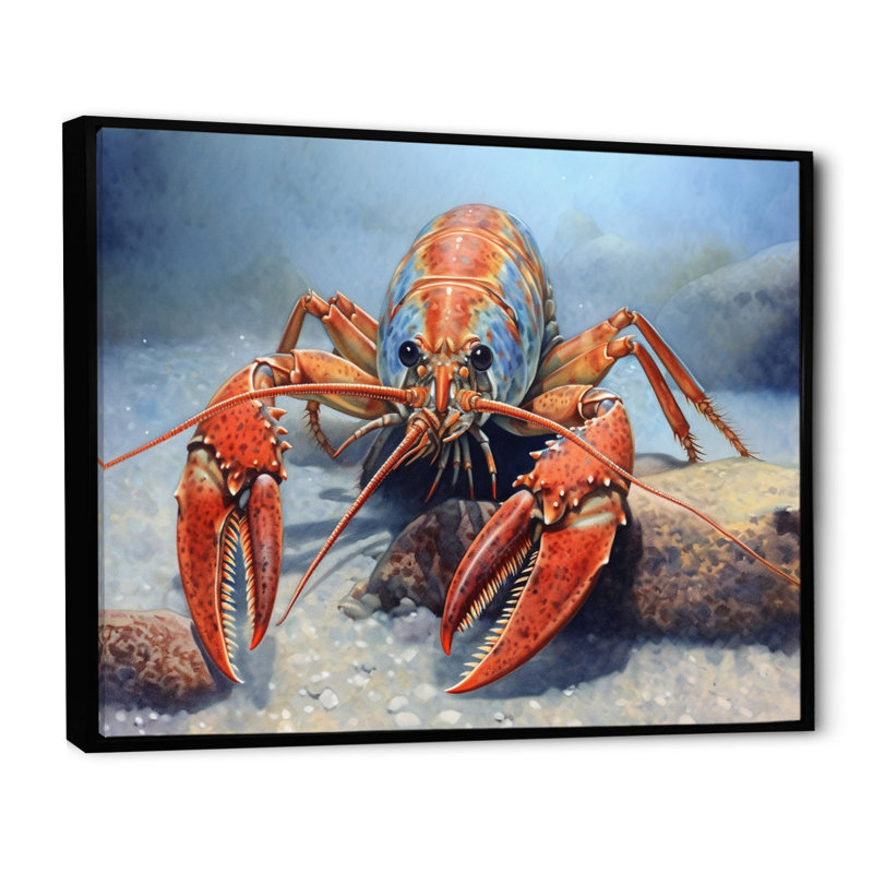 " Freshwater Crayfish I ", Black Floater Framed, 24" H x 32" W