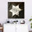 Sheriff Star
