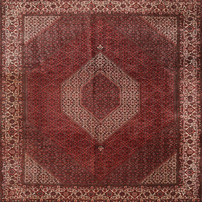Catilaya Oriental Indoor Rug