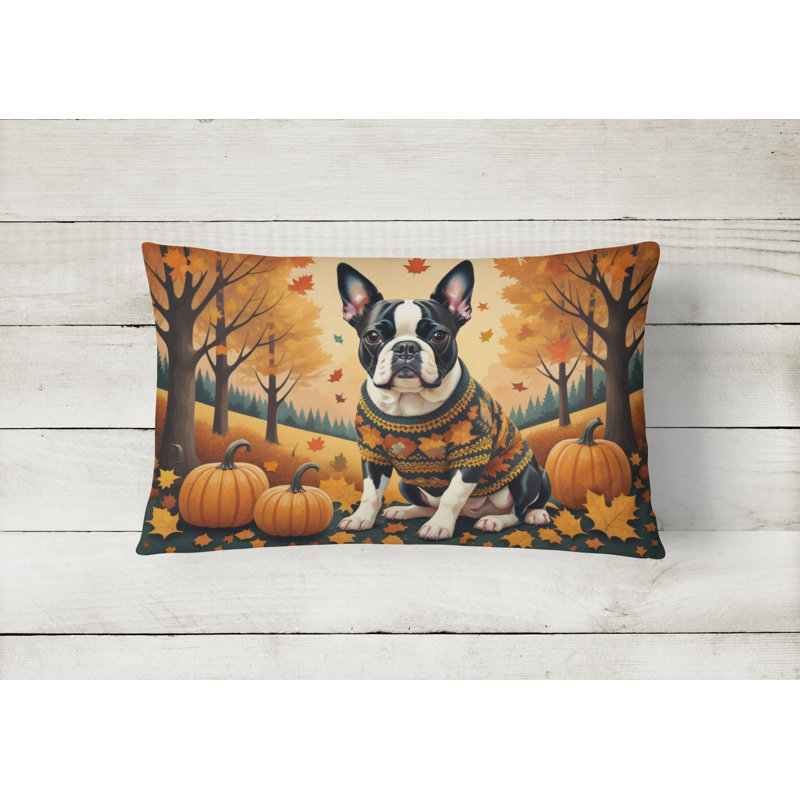 Other/No Pattern Outdoor Throw Pillow