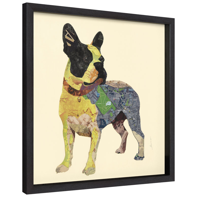 " Boston Terrier " by Alex Zeng