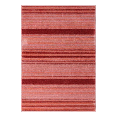 Osteen Striped Indoor Rug