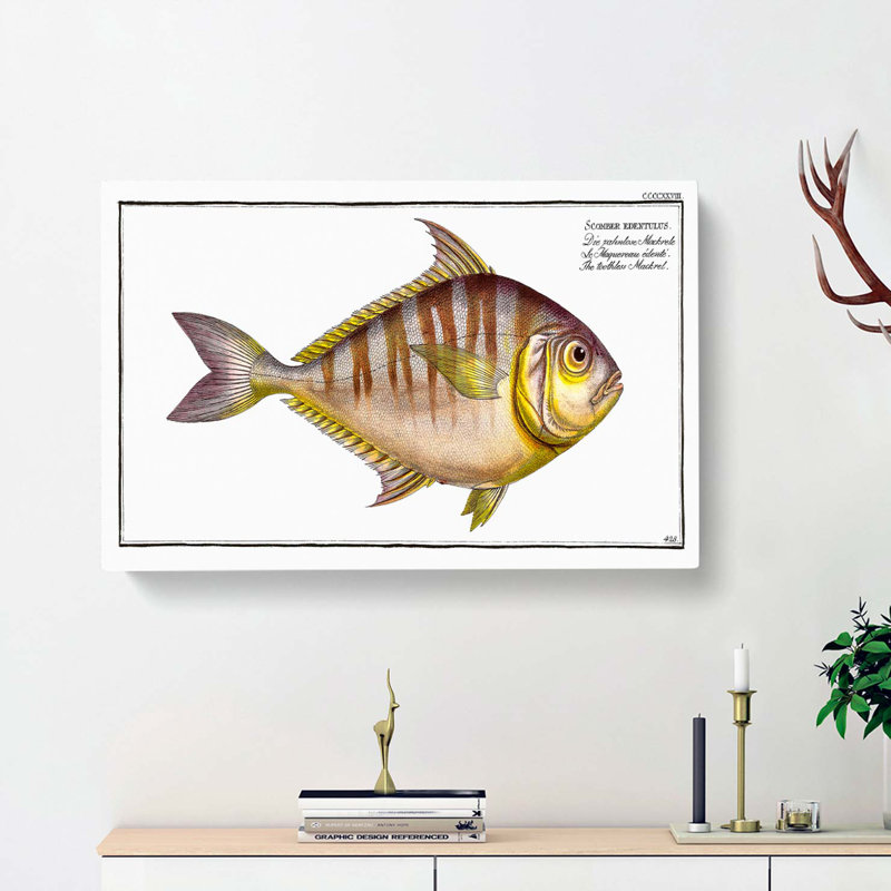 Toothless Mackerel Fish by M.E. Bloch - Wrapped Canvas, 35cm H x 50cm W x 3cm D
