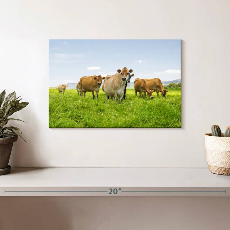 Farm Cattle, 8" H x 12" W