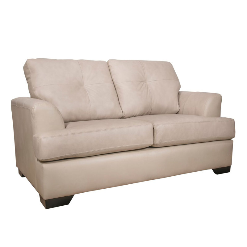 Dianne Upholstered 63'' Loveseat
