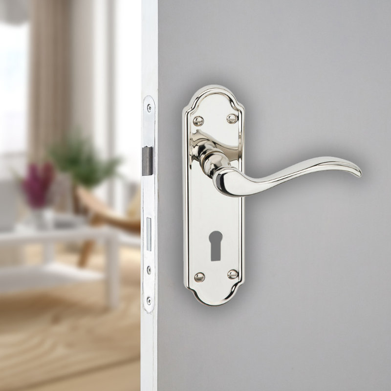 Door Handle, Polished Nickel