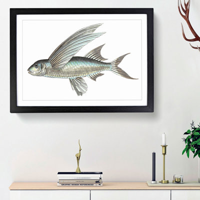 Flying Fish by George Shaw - Framed Print