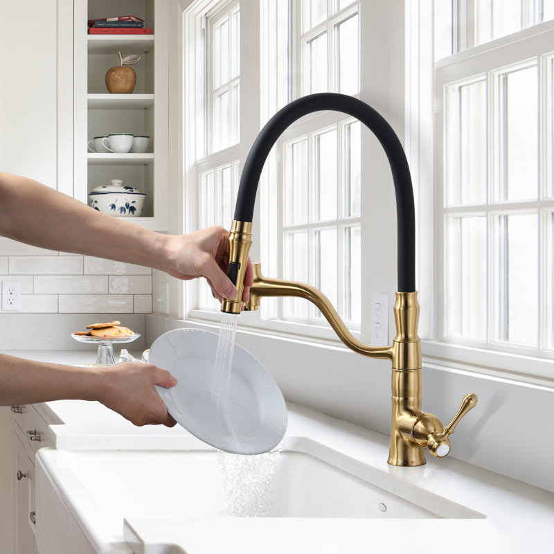Aleasha Kitchen Faucet, Brushed Gold