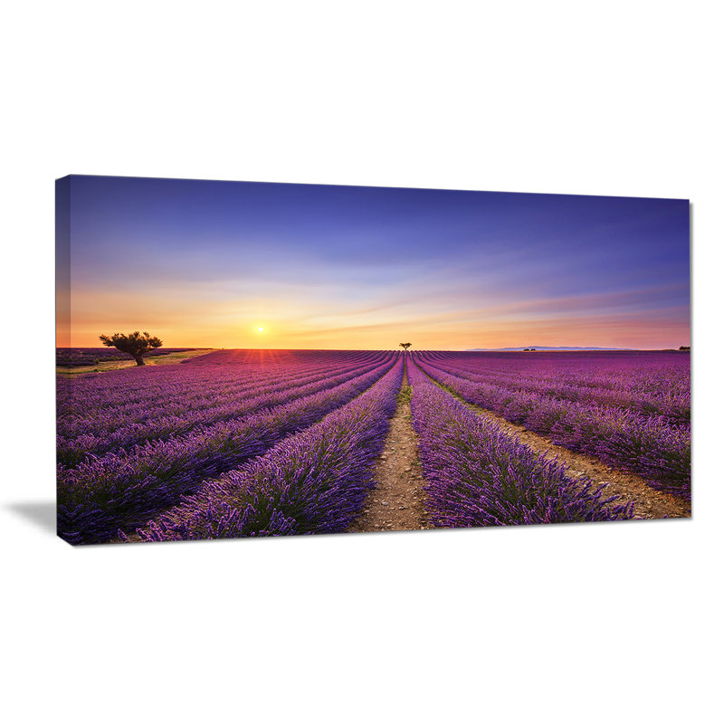 Champ de lavande en Provence, reproduction de photo sur toile tendue, H 20 po x l 20 po x P 1 po