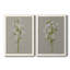 «White Field Flowers I», ensemble de 2 peintures sur toile encadrées-1126046344-1126046350