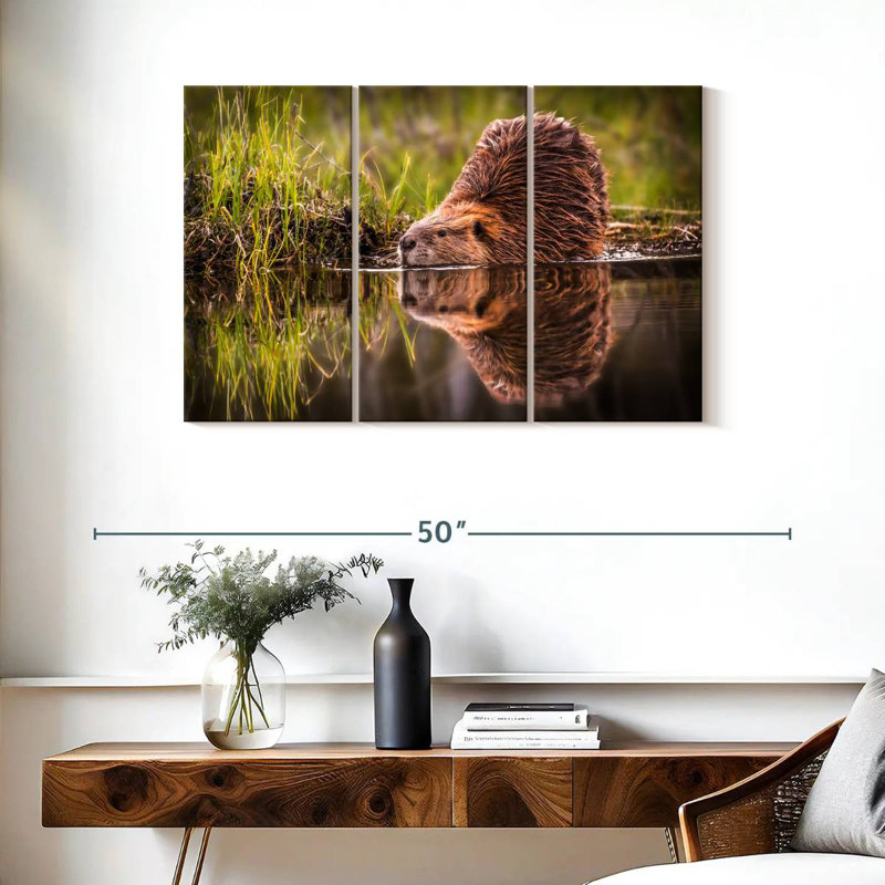 Brampt Beaver, 24" H x 38" W