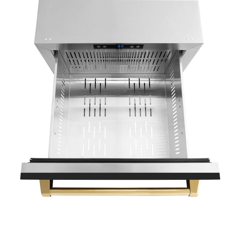 ZLINE Autograph Edition 24 In. Touchstone Refrigerator Drawer in Black Matte and Gold, Black Matte/Gold
