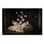 « Lepidopterology », reproduction de photo sur toile tendue-22371925