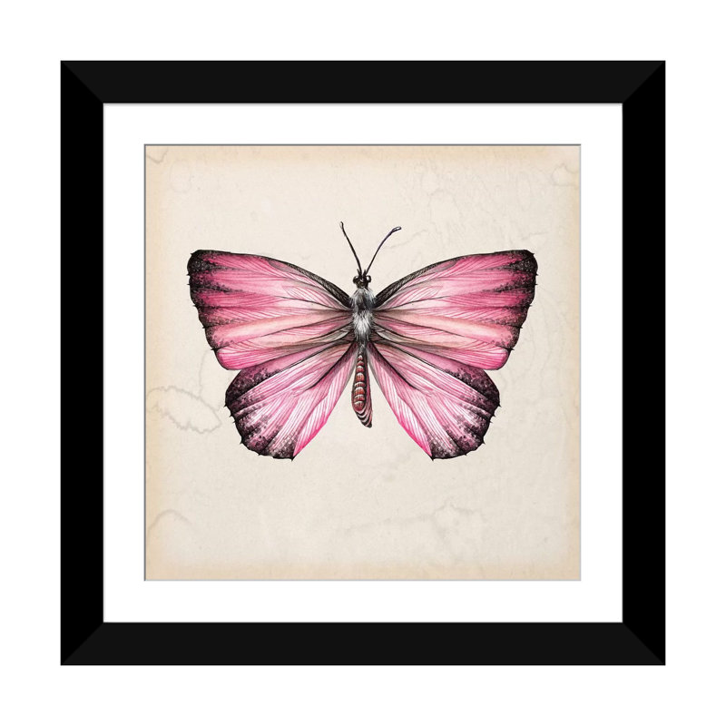 « papillon study iv », impression sur toile, H 16 po x l 16 po x P 1 po, Papier d'art encadré noir, Blanc