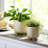 Ceramic Stoneware Planter With Raised Botanical Texture And Footed Base - Modern Decorative Garden Accent