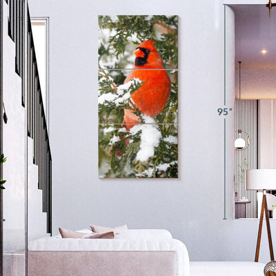 Winter Cardinal