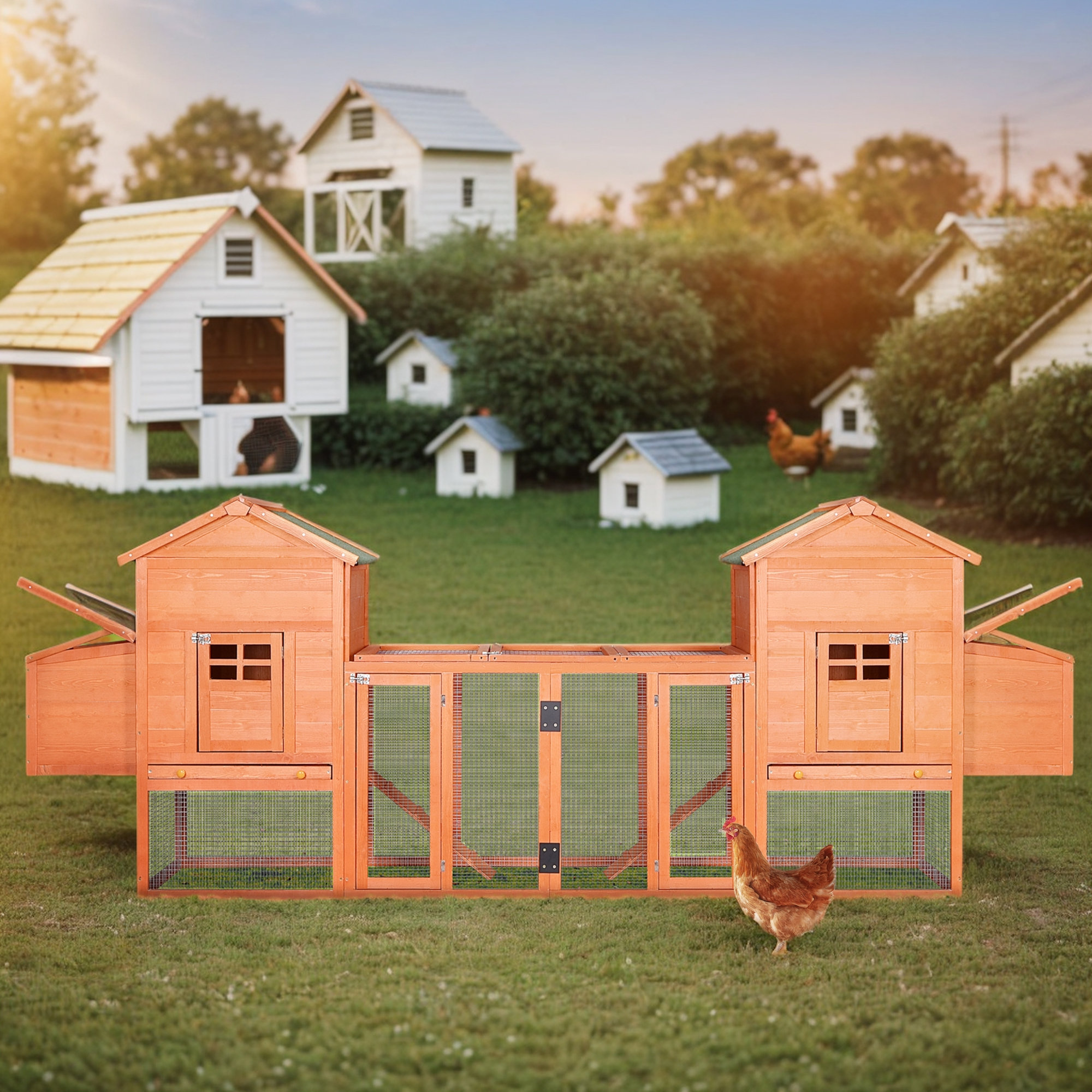 Tucker Murphy Pet Chicken Coop