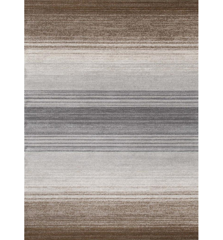 Tapis intérieur/extérieur Tobis gris/brun, 8' x 10'