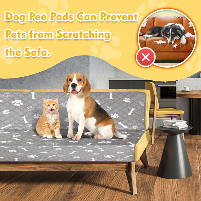 Washable Pee Pads for Dogs, Non-Slip, Highly Absorbent, Reusable, Waterproof Pet Training Pads for Playpen, Crate, Cage
