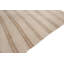 Terriek Striped Area Rug in Ivory