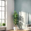 Plant-451260520