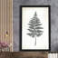 Tableau noir Fern II - Peinture-324080564-324080572