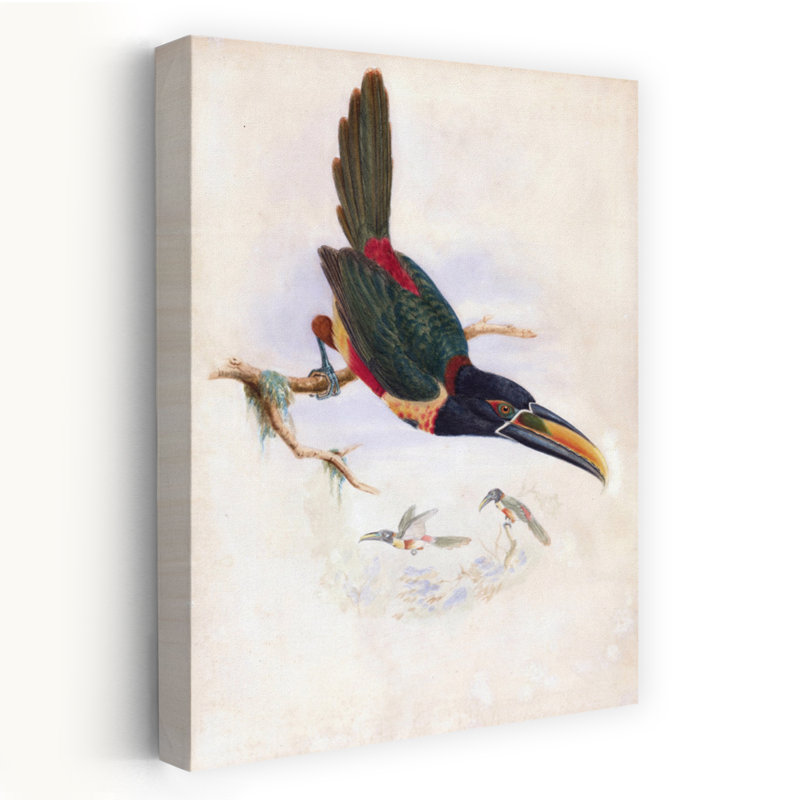 Aracari d'Amérique centrale - Art tropical rétro avec toucan, H 24 po x l 16 po