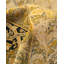 Classic One-of-a-Kind 9' 2" X 11' 10" Hand Knotted Area Rug
