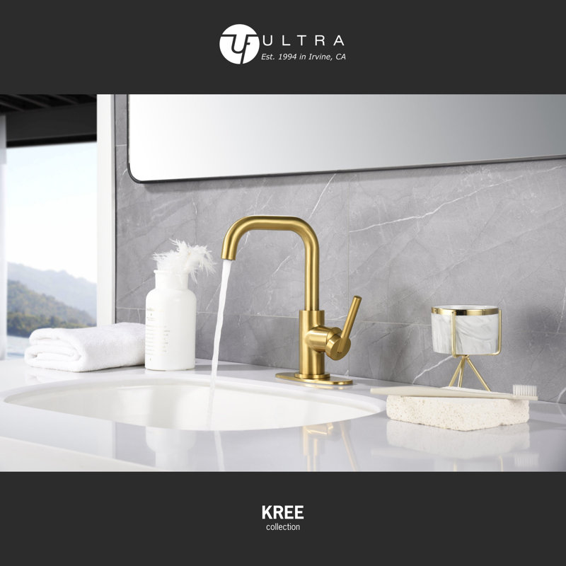 Matte Black Single-Handle Bathroom Faucet with Drain Assembly