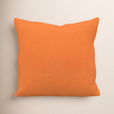 Gabi Sunbrella® Indoor/Outdoor Throw Pillow
