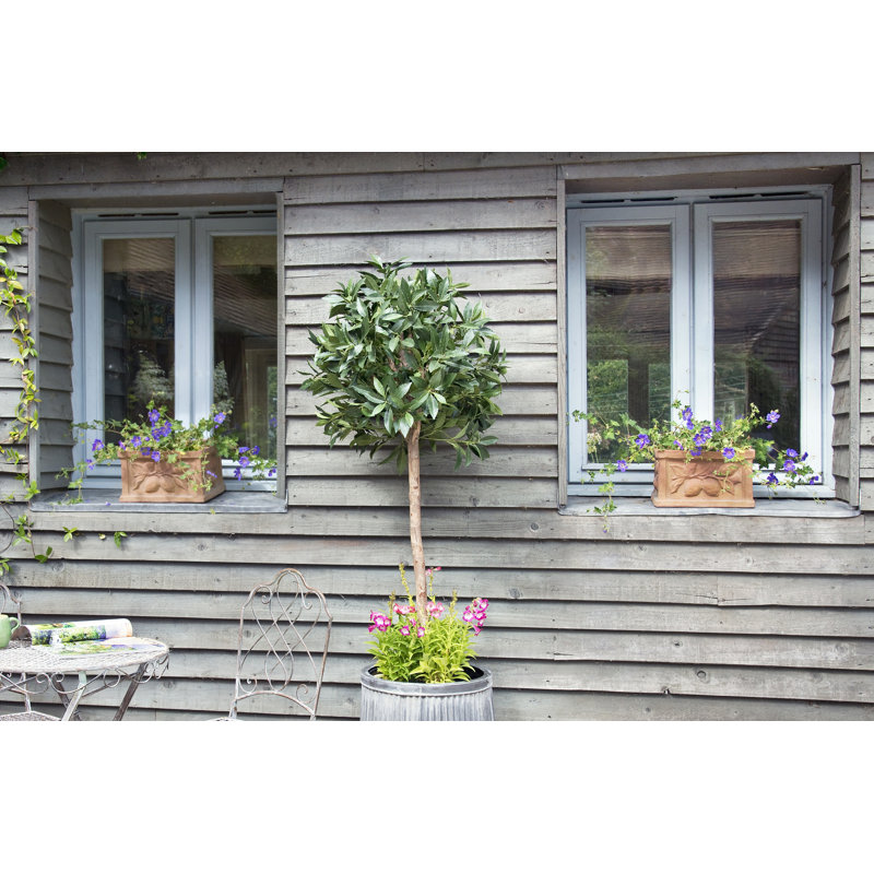 Zachariah Fiberglass Planter Box, 18 cm H x 30 cm W x 30 cm D
