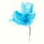 « expressif fleuris v », impression sur toile-72782451-72782446-29090354