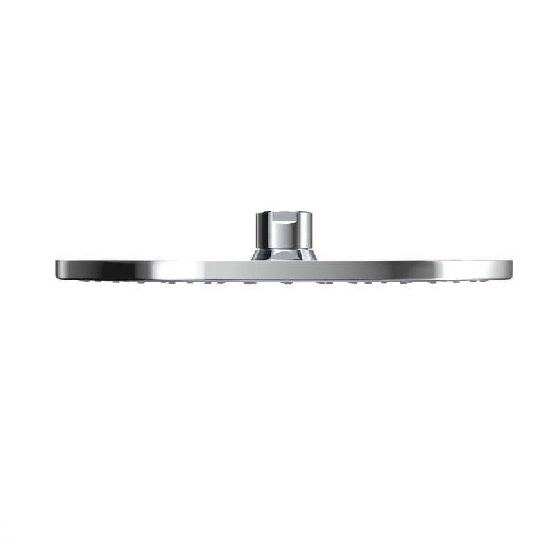 Rain Adjustable Shower Head, Polished Chrome