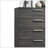 Lantha Gray Oak Finish Chest