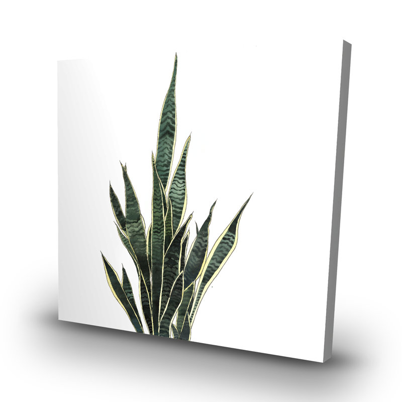 Snake plant - 32"x32" art on canvas