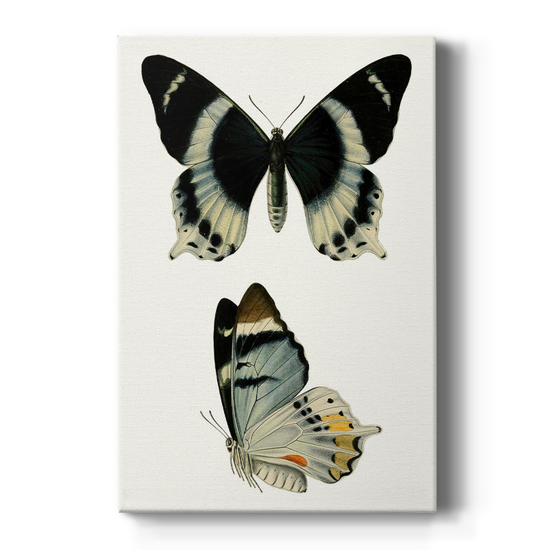 Papillons bleus antiques I - galerie Cavas sur mesure, H 60 po x l 40 po