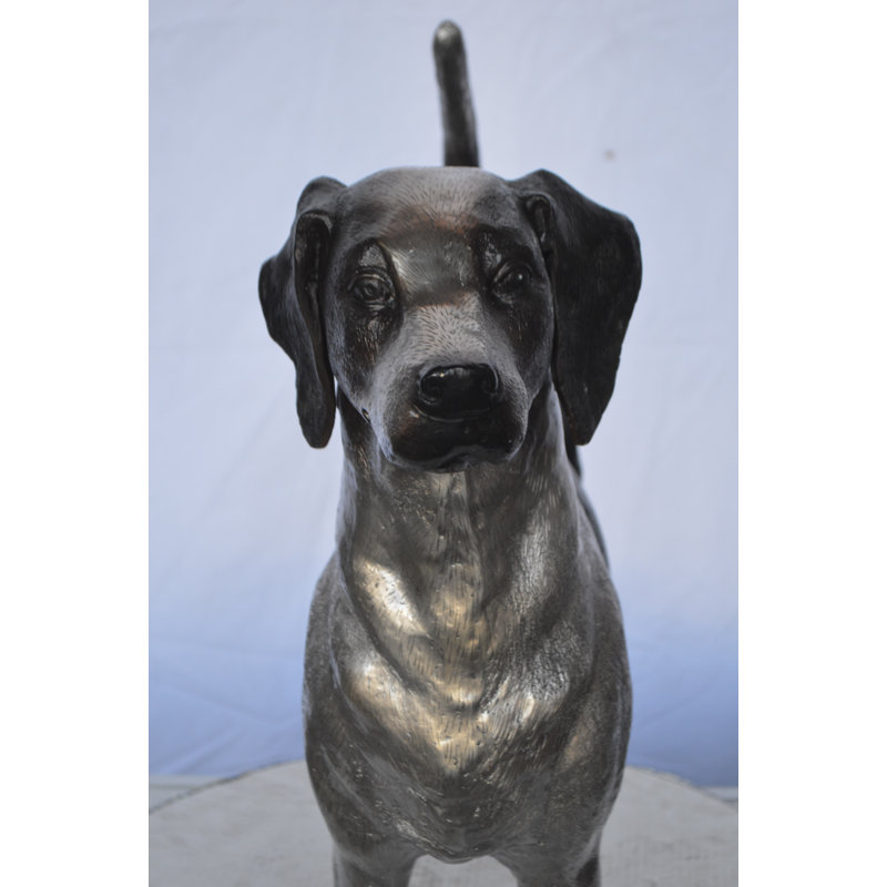 Germantown Foxhound Dog Bronze Statue -  Size: 31"L x 7"W x 24"H.