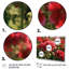 Fleur rouge, vert, géraniums et euphonie I - impression-865328686-865328691