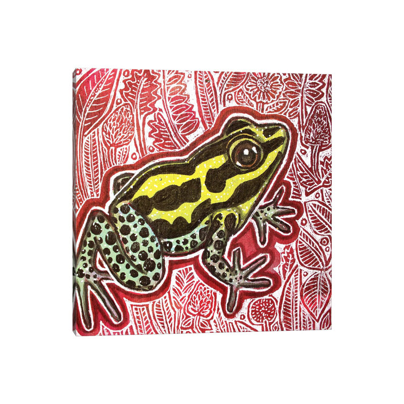 Poison Dart Frog by Lynnette Shelley - Wrapped Canvas Print, 30.48 cm H x 30.48 cm W