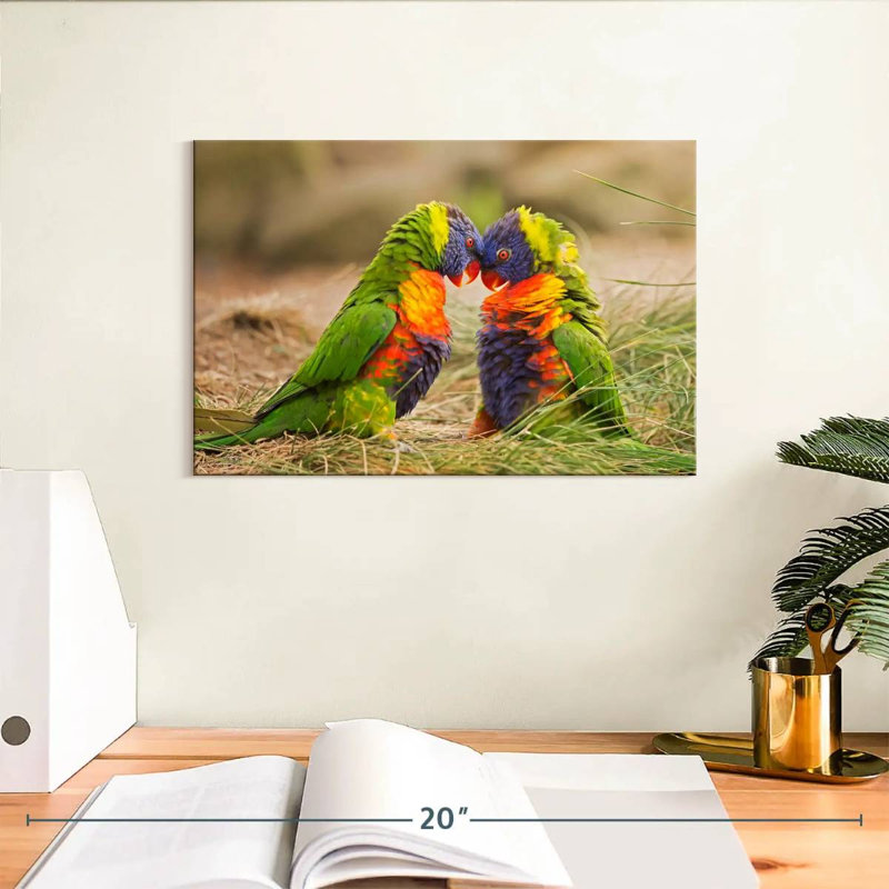 Rainbow Lorikeet Mates, H 8 po x l 12 po