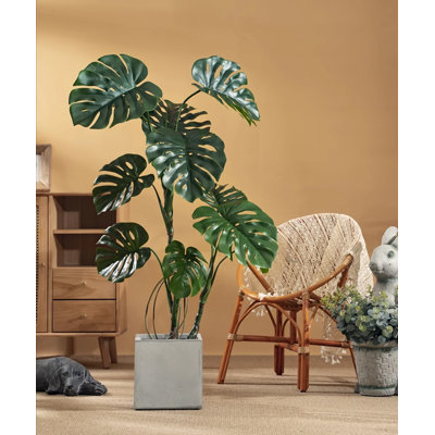 Faux arbres à grandes tortues