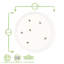 Bee Casual 21.5cm Side Plate
